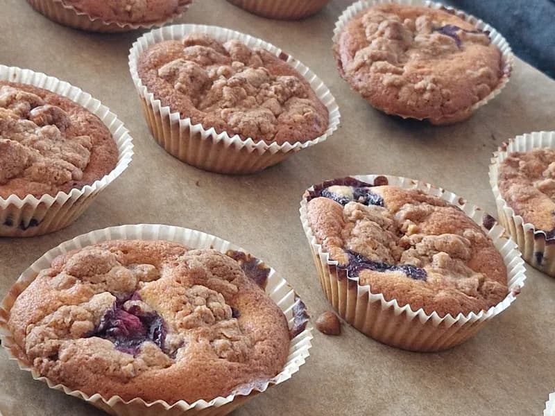 Blåbær muffins