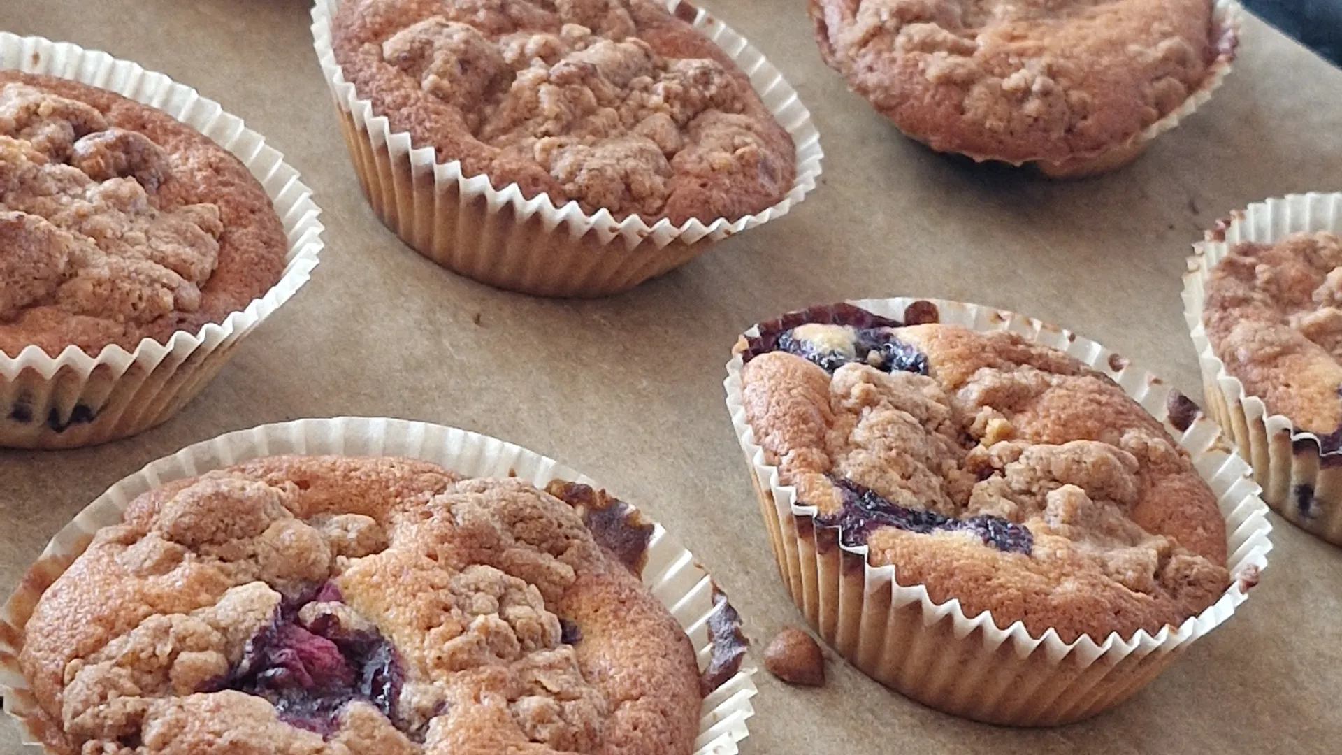 Blåbær muffins